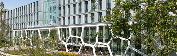 gorlaeus building